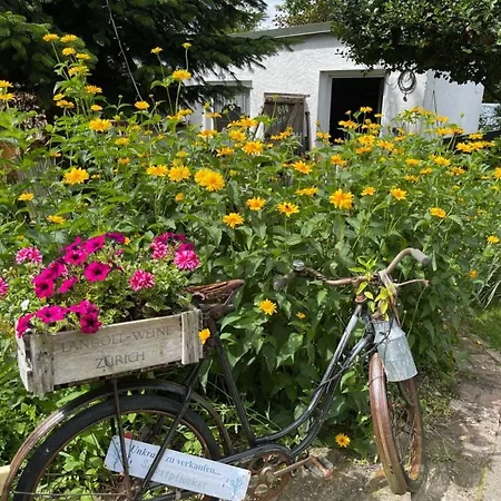 Appartamento Naturwerk Og Pruchten