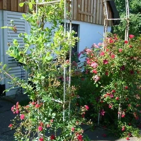 Appartamento Naturwerk Og